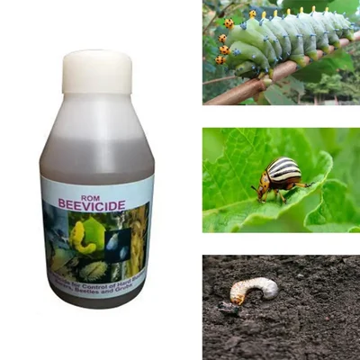 ROM 1 liter Beauveria Bassiana Liquid | Suitable for Controlling Hard Bodied Insects